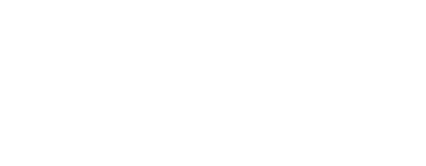 Bosso Logo